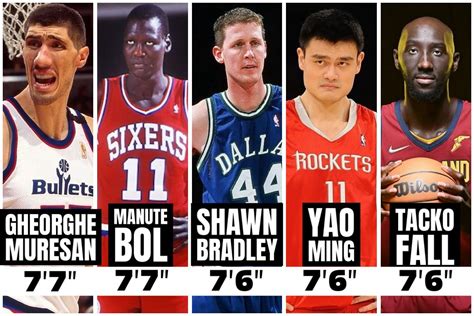 Tallest NBA players right now and of all time .